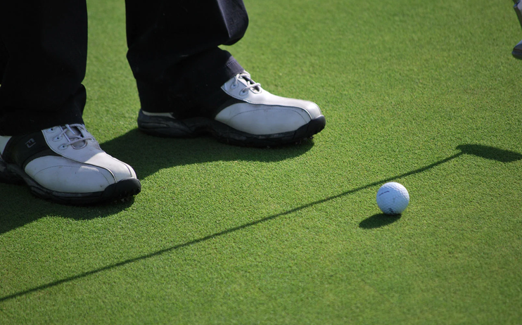 Incontra la sezione golf